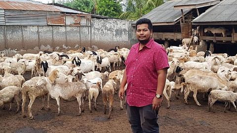 Peniaga ternak kambing mekar di M'sia, Indonesia