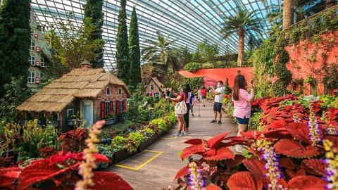 Flower Dome Taman di Persisiran dibuka semula Sabtu