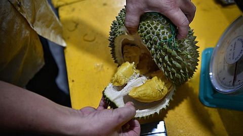 Hura-hara tidak keruan... gara-gara bau durian