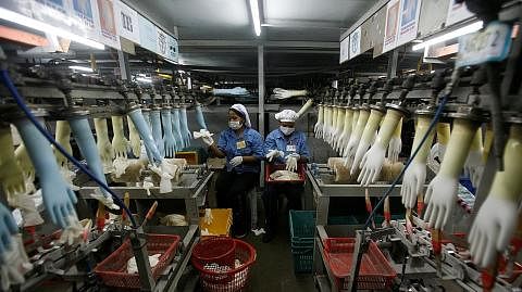 GAJI MINIMUM LEBIH TINGGI: Dua pekerja sedang bertugas di sebuah kilang membuat sarung tangan getah di Klang, Selangor. Kerajaan Malaysia menaikkan gaji bulanan minimum kepada RM1,500 daripada RM1,200 bagi syarikat yang menggajikan sekurang-kurangnya