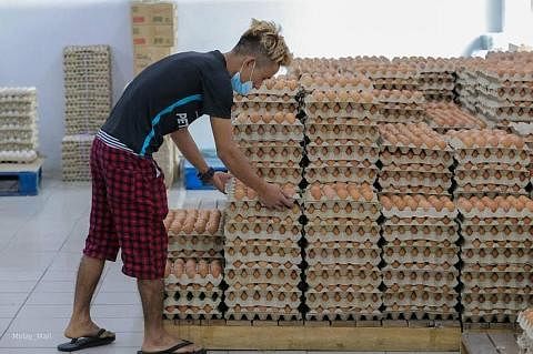 TELUR: Kementerian Perdagangan Dalam Negeri dan Hal Ehwal Pengguna (KPDNHEP) Pulau Pinang tidak pernah menerima aduan daripada peniaga atau pengguna berhubung krisis kekurangan telur ayam di pasaran sejak Januari lalu hingga ke hari ini. - Foto MALAY