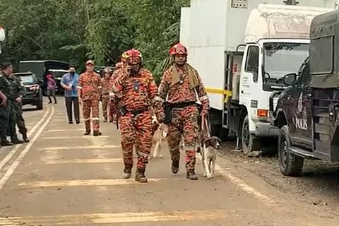 SEDIA BERTUGAS: Enam ekor anjing pengesan K9 tiba di lokasi SAR insiden tanah runtuh Batang Kali pada hari keempat bagi memulakan tugas.