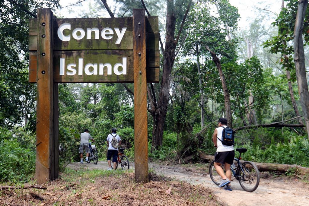 Kampus pengembaraan OBS baru di Pulau Coney