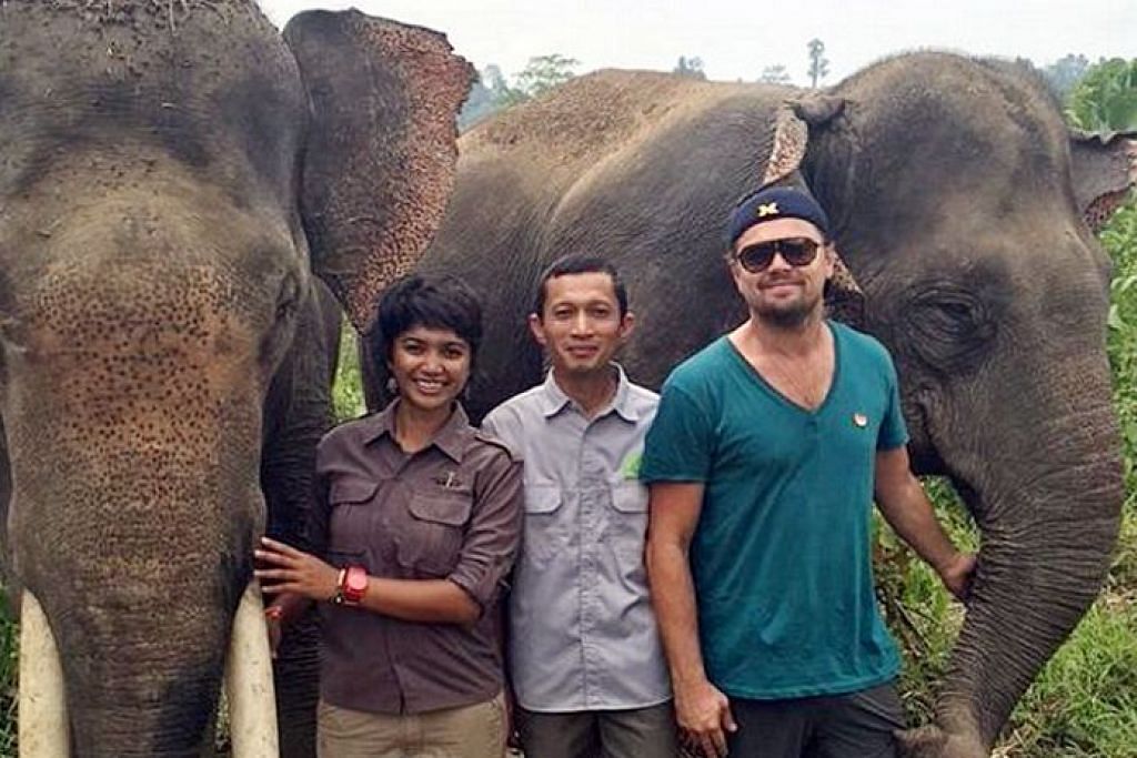 DiCaprio rancang buka taman fauna di Sumatera