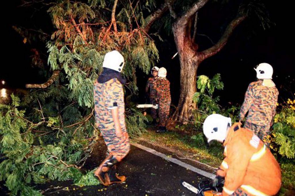 Ribut di Pulau Pinang akibatkan banjir kilat, pokok tumbang