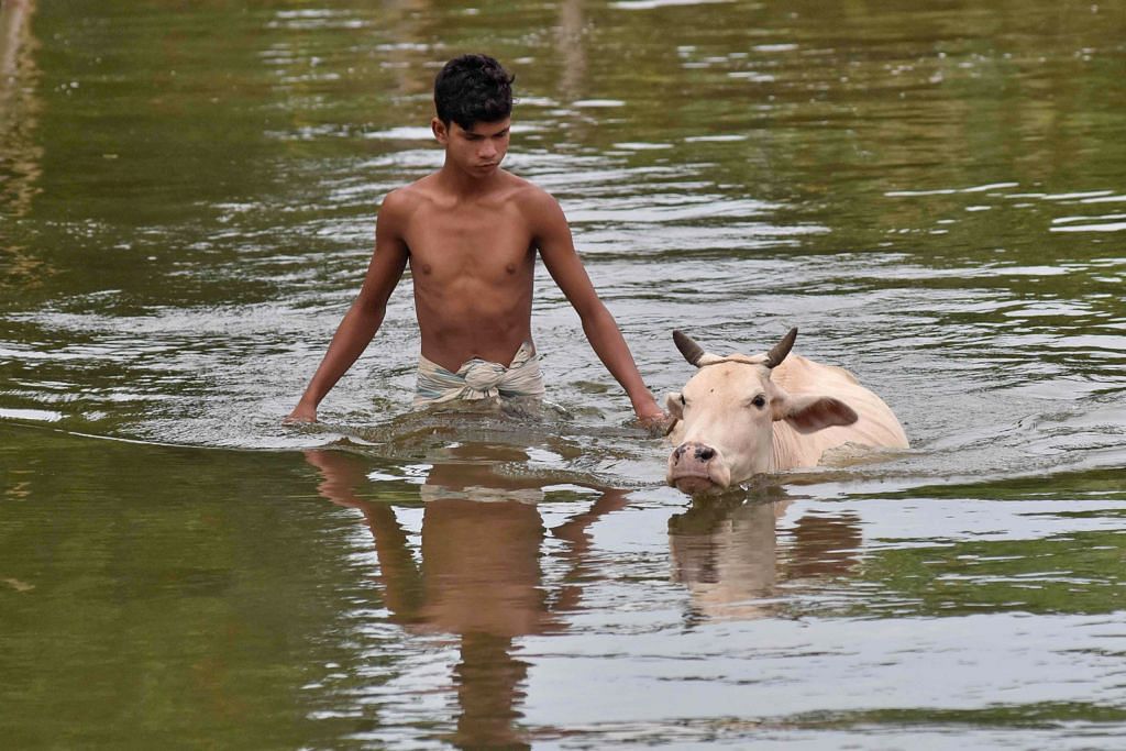 Angka korban banjir di India naik kepada 83 orang