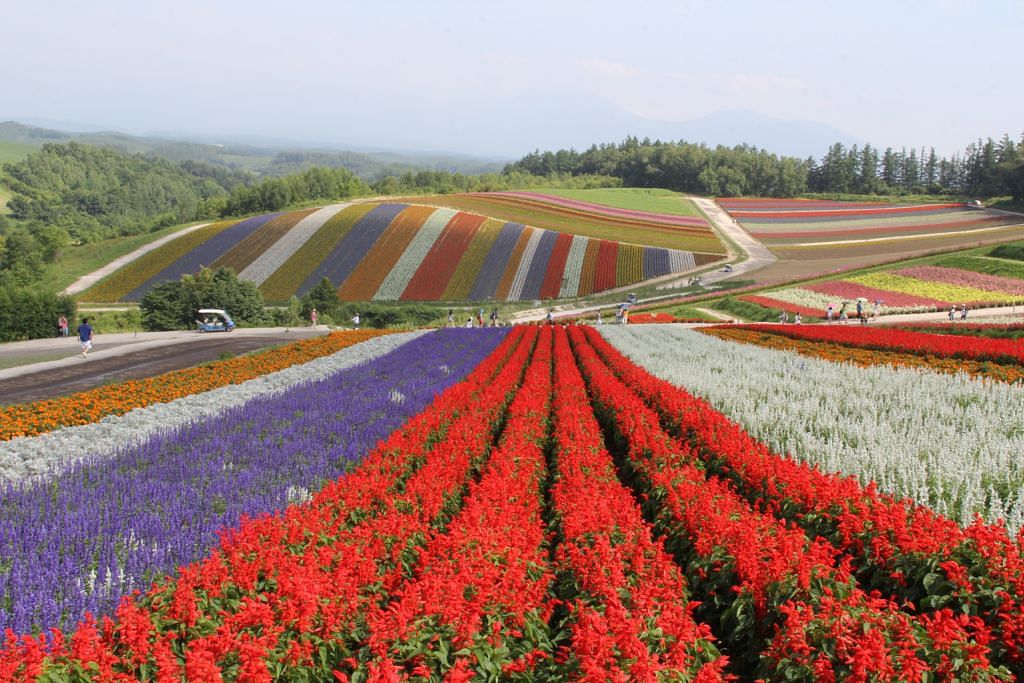 Syurga bunga di Hokkaido