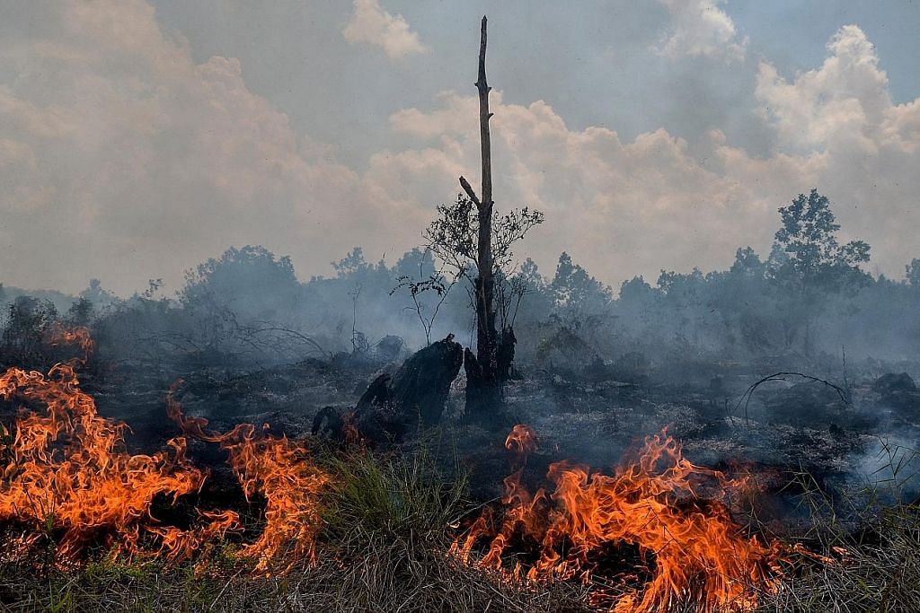 Empat wilayah Indonesia diletak di bawah amaran ancaman bencana dek kebakaran hutan