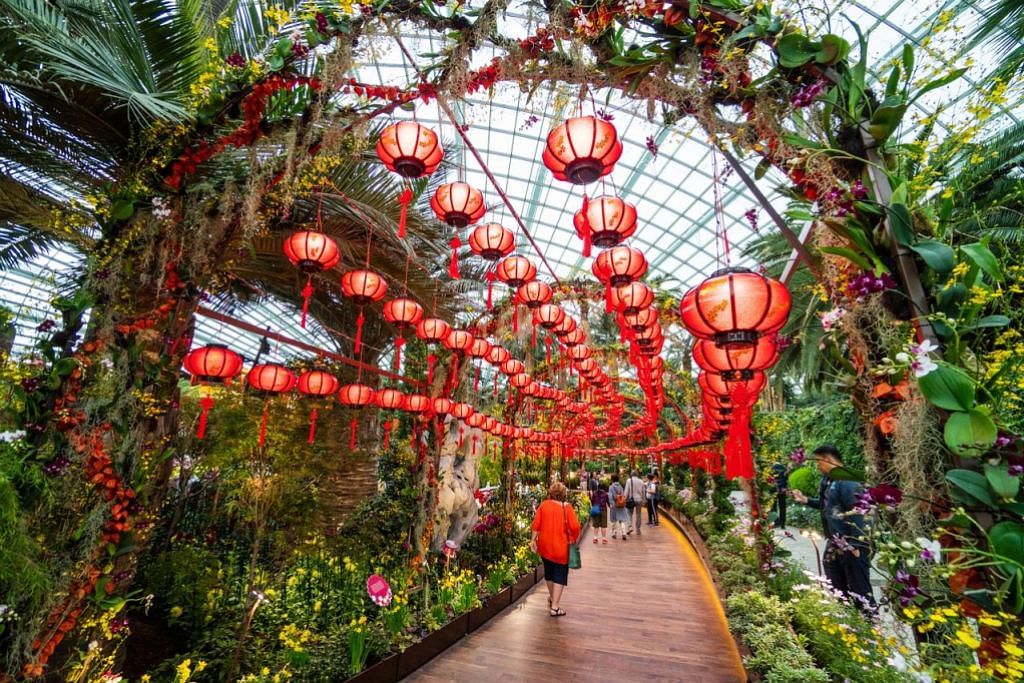 Pameran bunga dahlia istimewa sempena Tahun Baru Cina