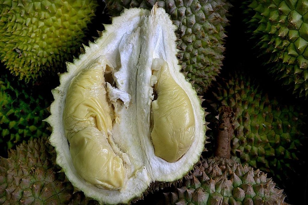 Seronok sambut Raya masa musim durian Durian... lain nama, lain rasa