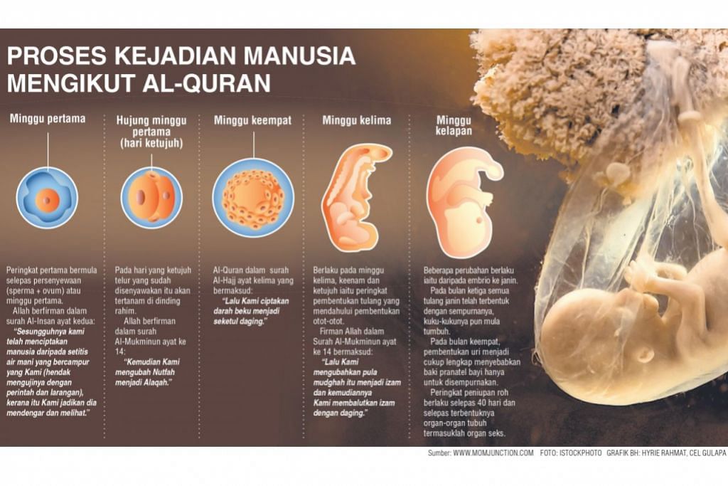 Proses Kejadian Manusia Menurut Al Quran