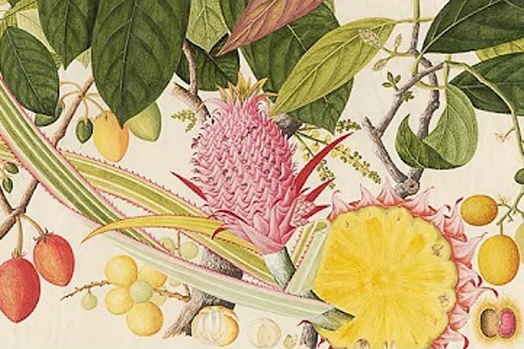 Lukisan lama buah-buahan dunia Melayu disimpan di perpustakaan Amerika