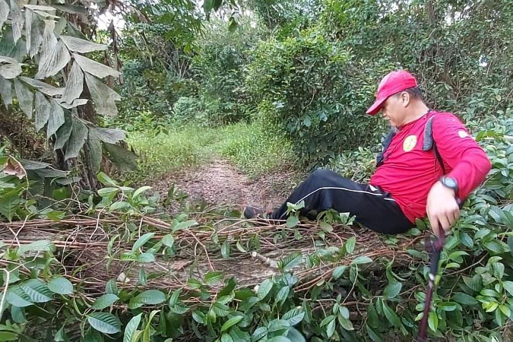 RENCANA TEROKA ALAM KEHIJAUAN SINGAPURA TERLEPAS MEMBACA Kuari Tampines yang unik tersembunyi di balik tumbuhan tebal
