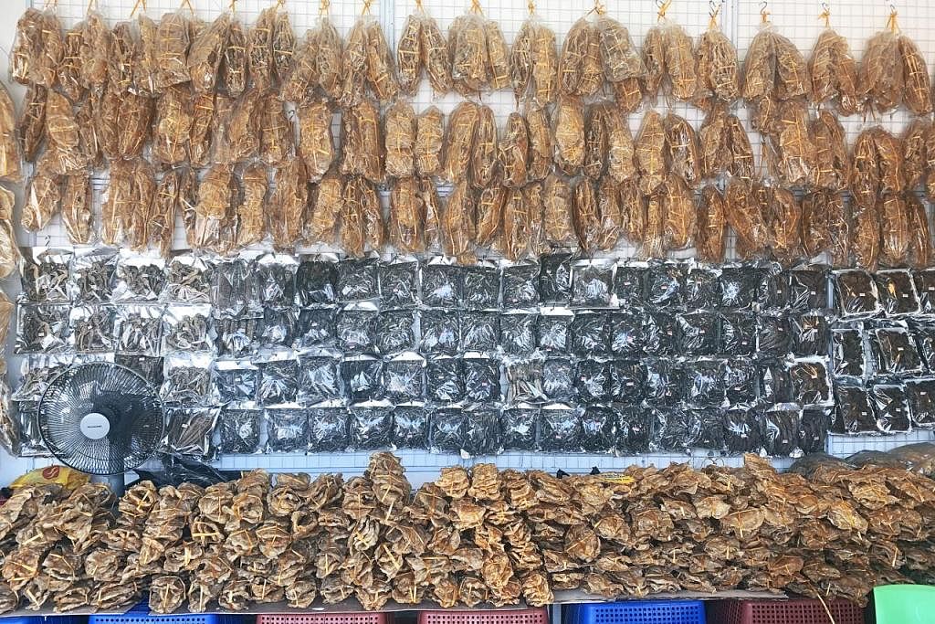 POPULAR DI MALAYSIA DAN SINGAPURA: Produk perut ikan dan gamat dijual di sebuah pasar di Sabah, Malaysia. - Foto TRAFFIC