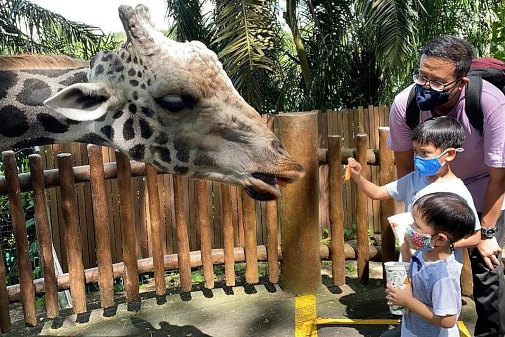 LUANGKAN MASA BERSAMA ANAK: Penulis bersama anaknya Harris dan Danial semasa berkunjung ke Taman Haiwan tahun lalu. - Foto NADIAH SHAHJOHAN
