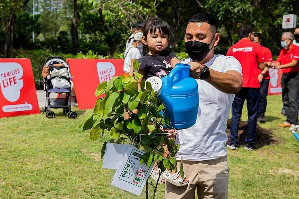 MENGERATKAN HUBUNGAN: Encik Muhammad Fazli Zulkifli, 35 tahun, bersama anak sulungnya, Leia Qaisara, 2 tahun, yang ghairah membantunya menanam pokok mereka di acara FamilyTrees di East Coast Park.