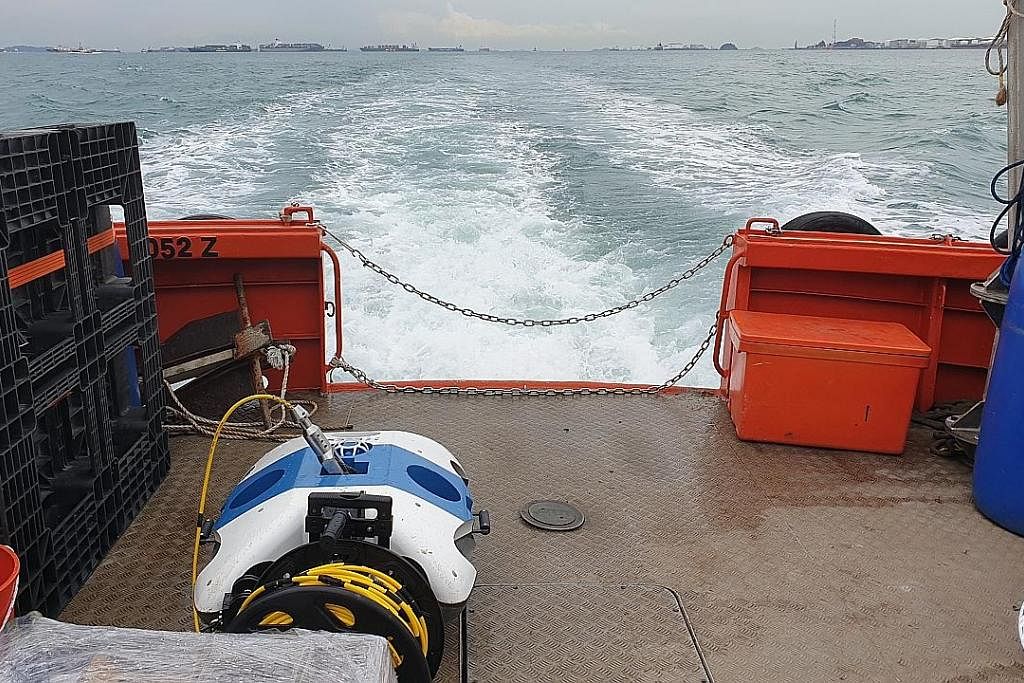PROJEK DIUJI: Syarikat BeeX akan bekerjasama dengan Shell untuk menguji kenderaan bawah air autonomi berlegar (HAUV) untuk menjadikan pemeriksaan prasarana bawah air lebih selamat, cekap dan berkesan di Taman Tenaga dan Kimia Shell Singapura di Pulau