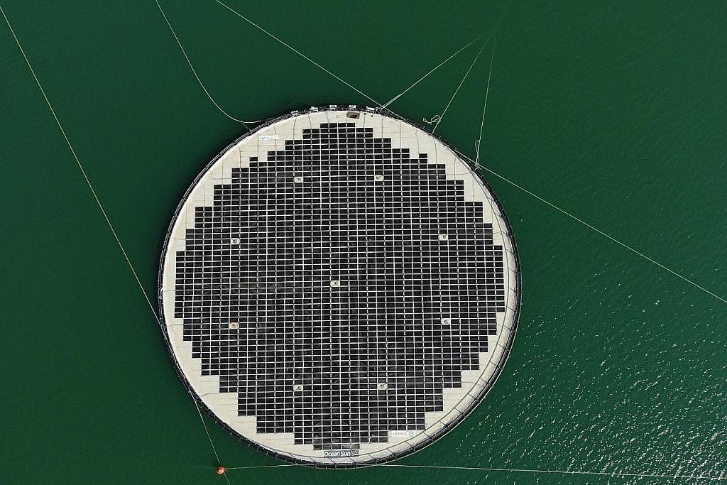 TENAGA SURIA: Keppel Energy Nexus akan merintis sistem fotovoltan (PV) berhampiran pantai berdasarkan teknologi oleh syarikat Ocean Sun yang direka untuk menahan ombak lebih kuat dan keadaan laut bergelora untuk memanfaatkan tenaga suria. - Foto OCEA
